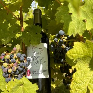 Vin de Gaillac rouge – Cuvée Ange & Cie Cantegal – 2021