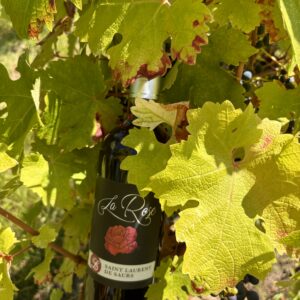 Vin de Gaillac Rouge doux La Rose – 2018