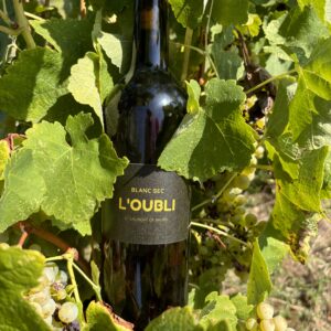 Vin Blanc sec l’Oubli – 2019