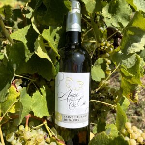 Vin de Gaillac blanc perlé – Cuvée Ange & Cie Le Rebelle – 2022