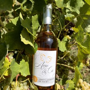 Vin de Gaillac blanc – Parfum de Cocagne – 2022