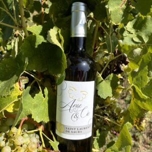 Vin blanc sec – Cuvée Le Coquet – 2022