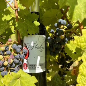 Vin de Gaillac Rouge Le Florilège – 2020